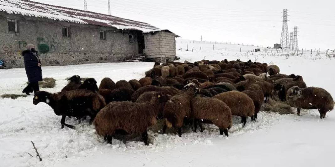 Devlet destekliyor sayıları artıyor! 3 yılda 99 binden 150 bine çıkan artış: Kırsalda kadın üreticiler de güçleniyor 5